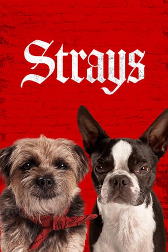 Strays movie poster